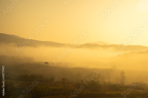 a fog in mountain at sunrise © AS_SleepingPanda
