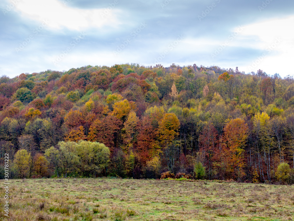 Autumn in the mountains. Nature has painted in pastel colors the leaves of trees, shrubs and grasses.