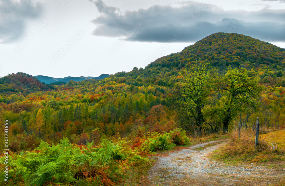 Autumn in the mountains. Nature has painted in pastel colors the leaves of trees, shrubs and grasses. A dirt road turns into the forest. Autumn in the mountains. Nature has painted in pastel colors the leaves of trees, shrubs and grasses. A dirt road turns into the forest.