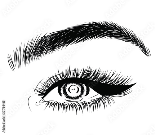  Fashion illustration of the eye with long full lashes. Hand drawn vector idea Natural eyebrows and modern makeup
