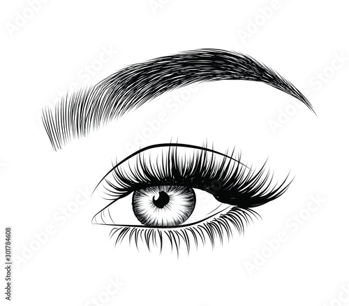  Fashion illustration of the eye with long full lashes. Hand drawn vector idea  Natural eyebrows and modern makeup