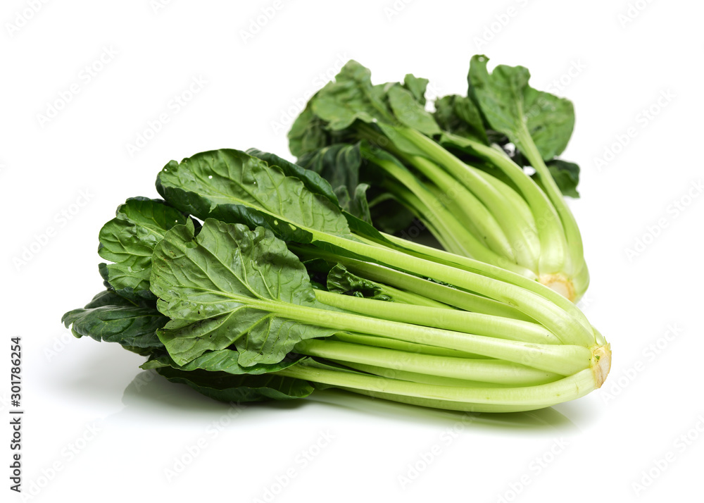 Fresh harvested Tah Tsai lettuce isolated on white. Tah Tsai or (Tatsoi) a commly used green leaf vegetable in Chinese and oriental dishes. Fresh harvested Tah Tsai lettuce isolated on white. Tah Tsai or (Tatsoi) a commly used green leaf vegetable in Chinese and oriental dishes.
