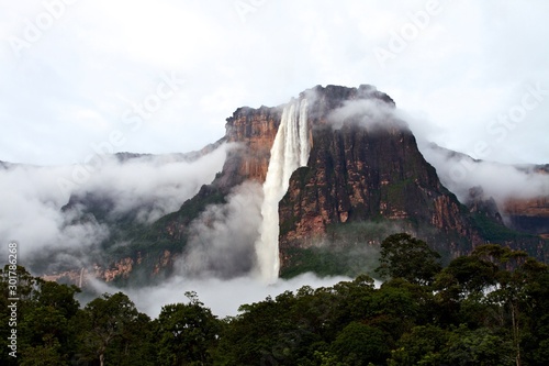 Salto Angel waterfall after a rainy night. The Salto Angel is the highest waterfall in the world with 979 meters, Canaima, Venezuela  photo