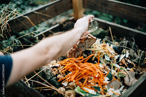 human hand pouring water on organic compost heap photo