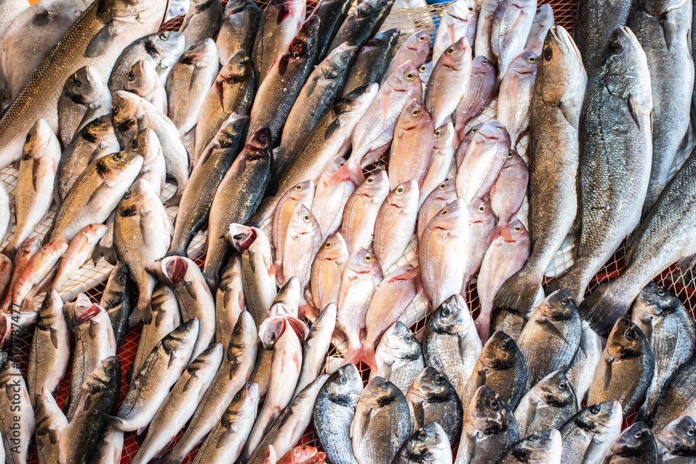 Fish market, mixed of fish 