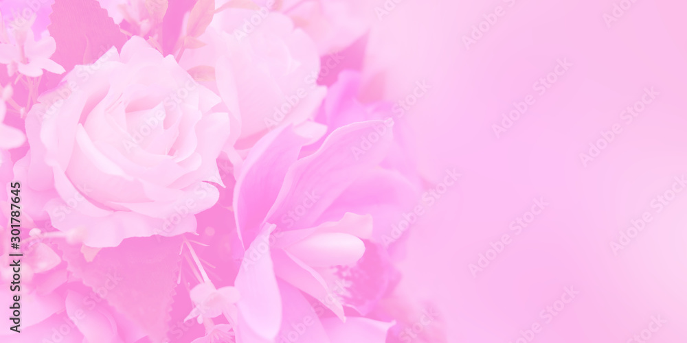 Blurred of rose flowers pink blooming in the pastel color style for background. Space for text