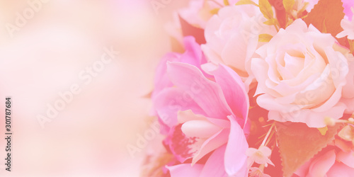 Fototapeta Naklejka Na Ścianę i Meble -  Blurred of rose flowers pink blooming in the pastel color style for background. Space for text