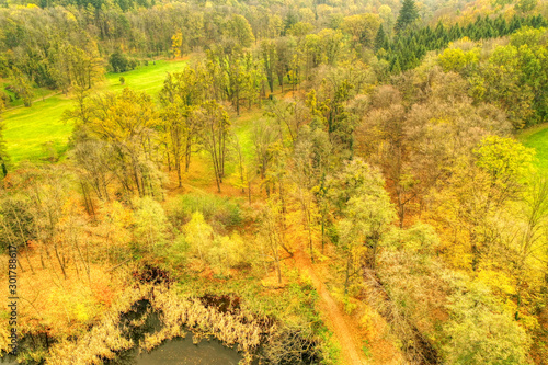 Fototapeta Naklejka Na Ścianę i Meble -  aerial shot of view of beautiful forest in orange colors