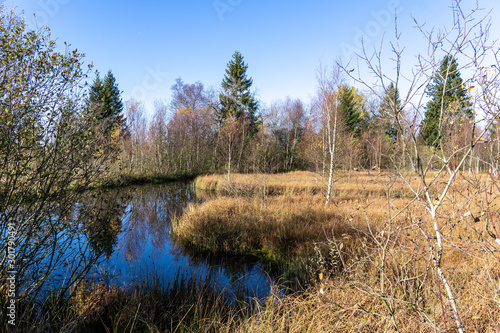 Wandern im hohen Venn