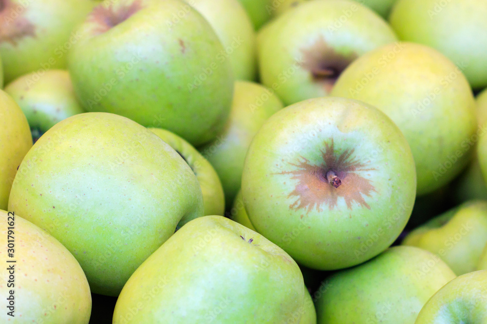 Green appetizing apples. Natural fresh fruits.