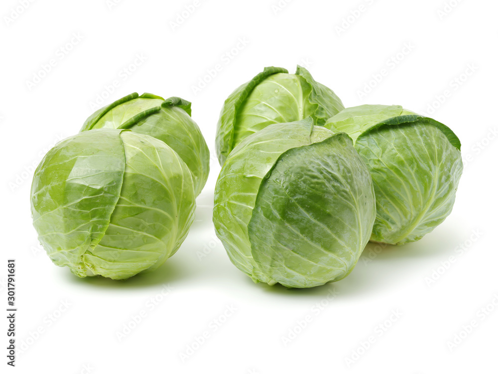 cabbage on white background cabbage on white background