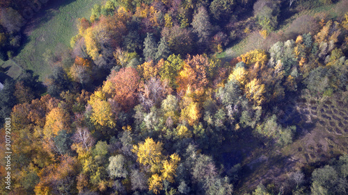 Wlad Herbst von oben Drohne 