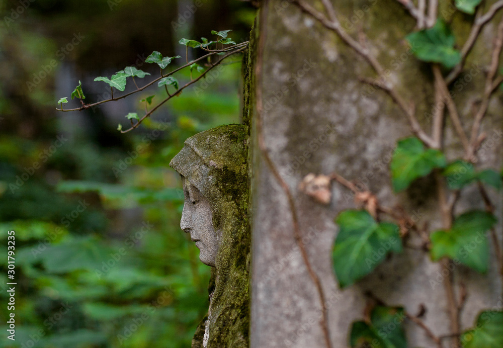 Fototapeta premium fragment cemetery virgin mary's face in profile