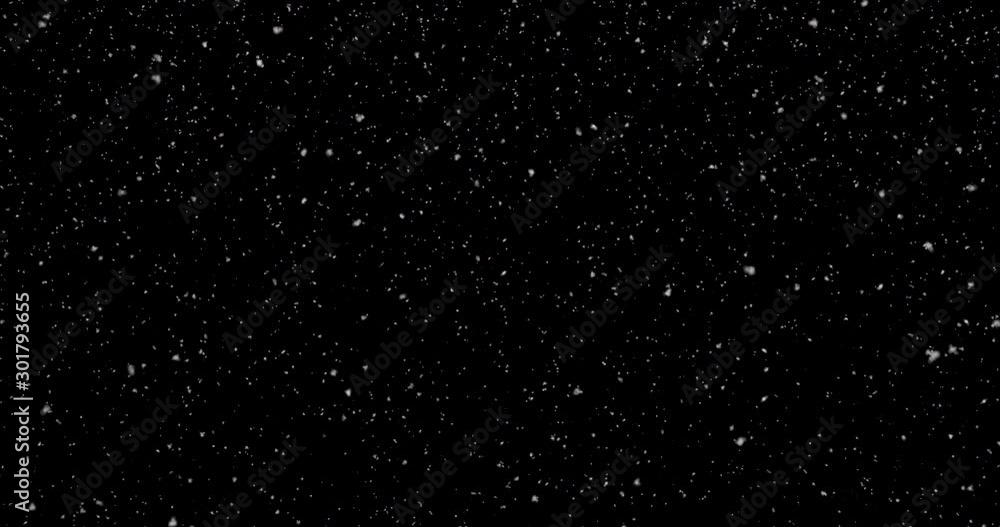 Snowfall animation on a black background Snowfall animation on a black background