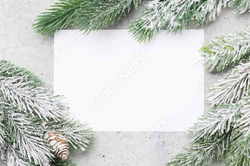 Christmas card with fir tree photo