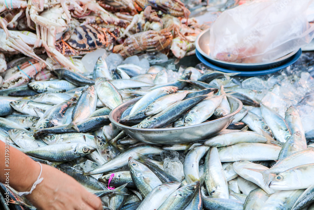Fresh fish from river sold in local market, Songkhla Province, Thailand Fresh fish from river sold in local market, Songkhla Province, Thailand