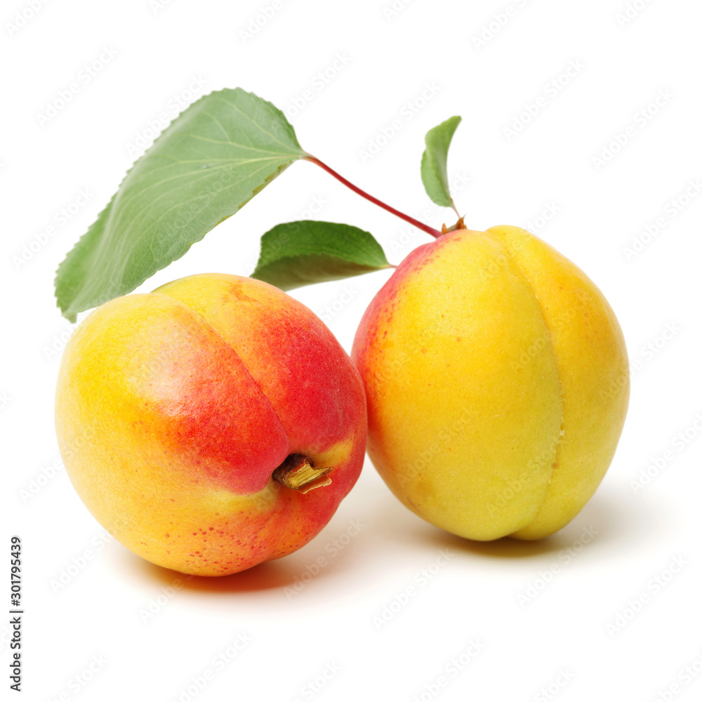 Fresh apricot fruits isolated on white background, with clipping path