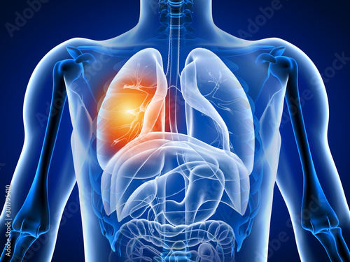 3d illustration human body with lung pain