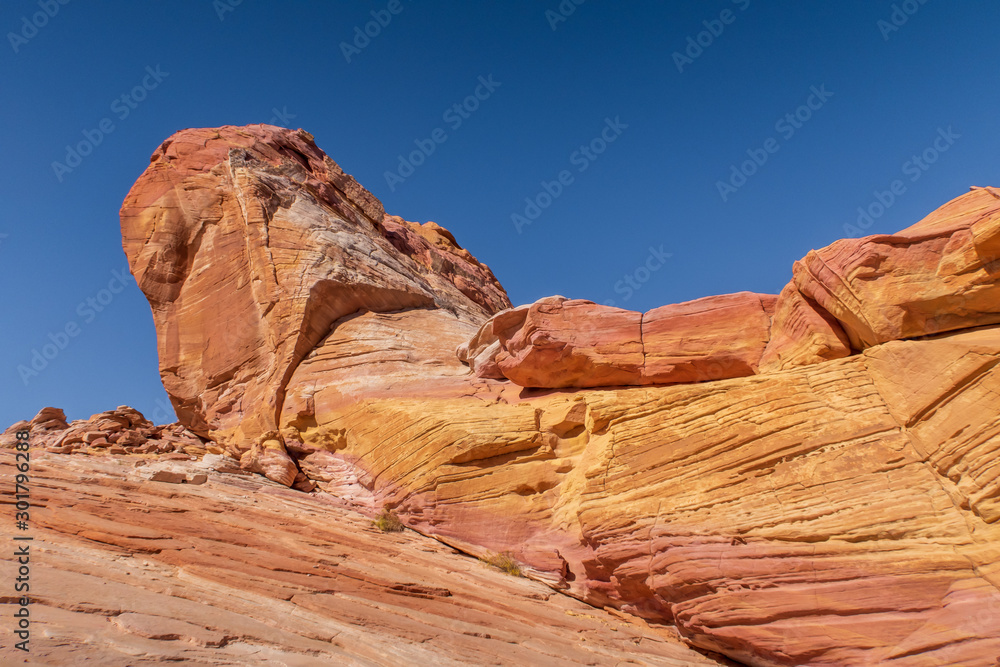 Obraz premium Landscape of orange, pink and yellow rock formations at Valley of Fire State Park in Nevada