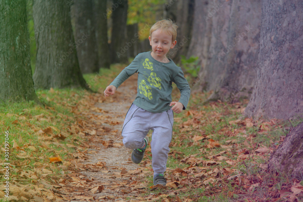 Cute kid, boy having fun at autumn street, jumping and running around on carpet of fallen leaves. Boy running in the yellow leaves. Cute kid, boy having fun at autumn street, jumping and running around on carpet of fallen leaves. Boy running in the yellow leaves.