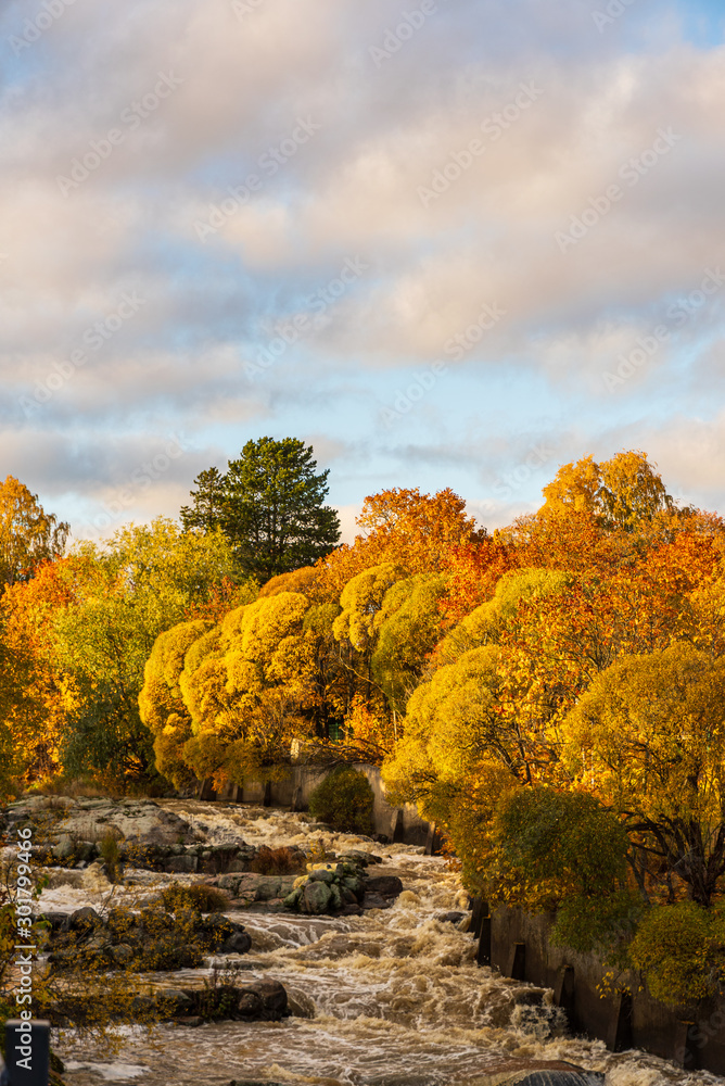 Fototapeta premium Fall