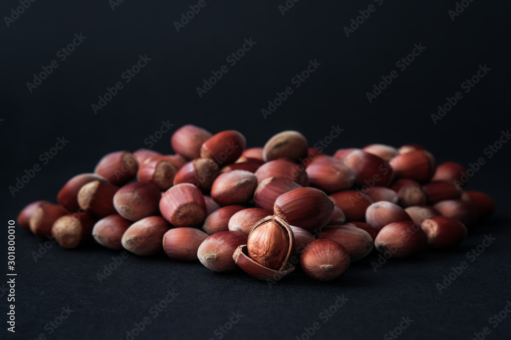Hazelnut isolated on white background. Set or collection. Hazelnut isolated on white background. Set or collection.