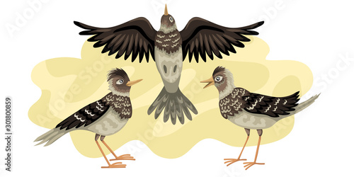 Larks migratory bird. Three birds fly against the background of the sky. Larks migratory bird. Vector illustration of wild animals