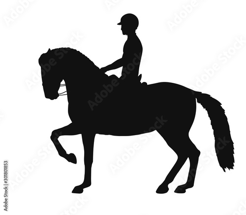 Silhouette of a horseman on a spanish horse