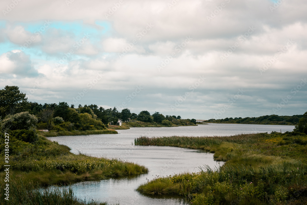 Serpentine and Silver Slough Cove Serpentine and Silver Slough Cove