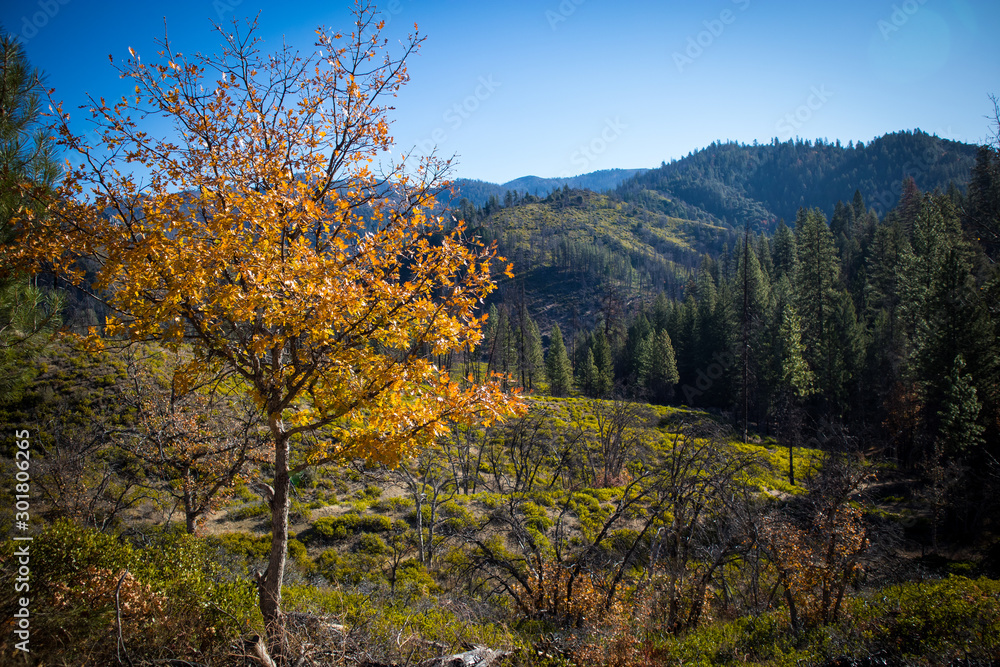 Autumn Valley Landscape in Northern California