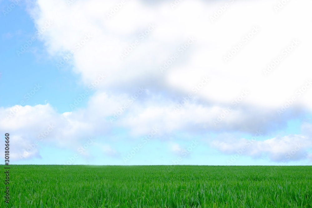 Landscape of green grass field and blue sky with white clouds, Green Grass Texture with Blang Copyspace Against Blue Sky Landscape of green grass field and blue sky with white clouds, Green Grass Texture with Blang Copyspace Against Blue Sky