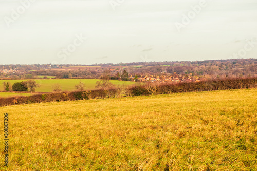 Autumn landscape with meadow and field near Sherrardspark Wood in Welwyn Garden City, Hertfordshire, England