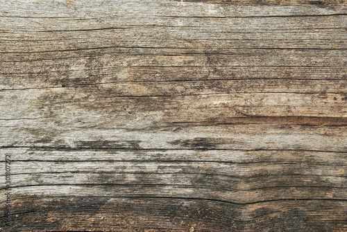 Old wood grain background. Wood grain background cracked.