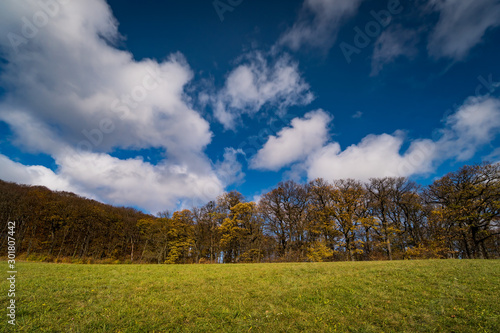 Baum im Herbst