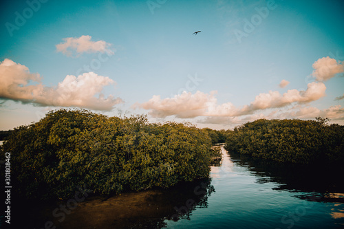 Nature Reserve Sian Ka'an in the morning photo