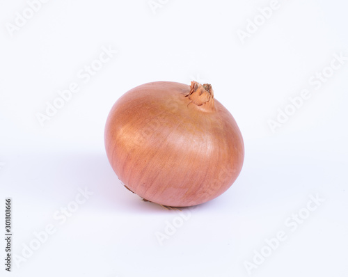onion on a white background