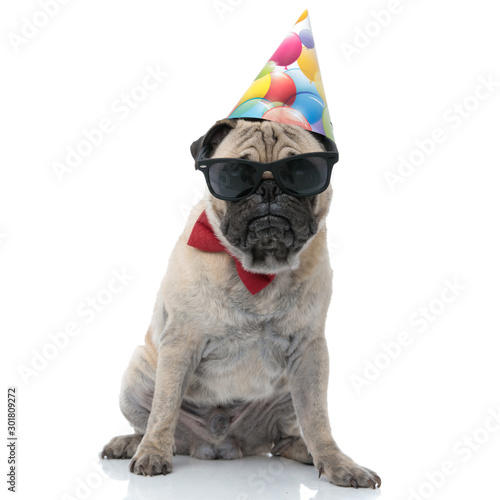 cool pug wearing sunglasses, birthday hat and bowtie