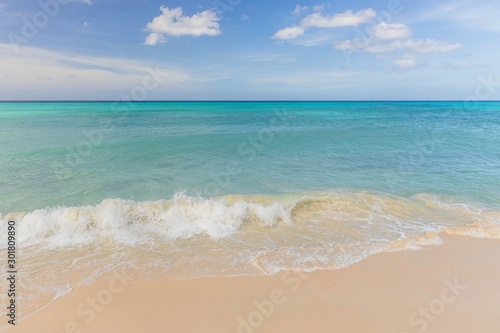 Amazing beauty Eagle Beach of Aruba Island. Caribbean sea beach. Beautiful nature background.