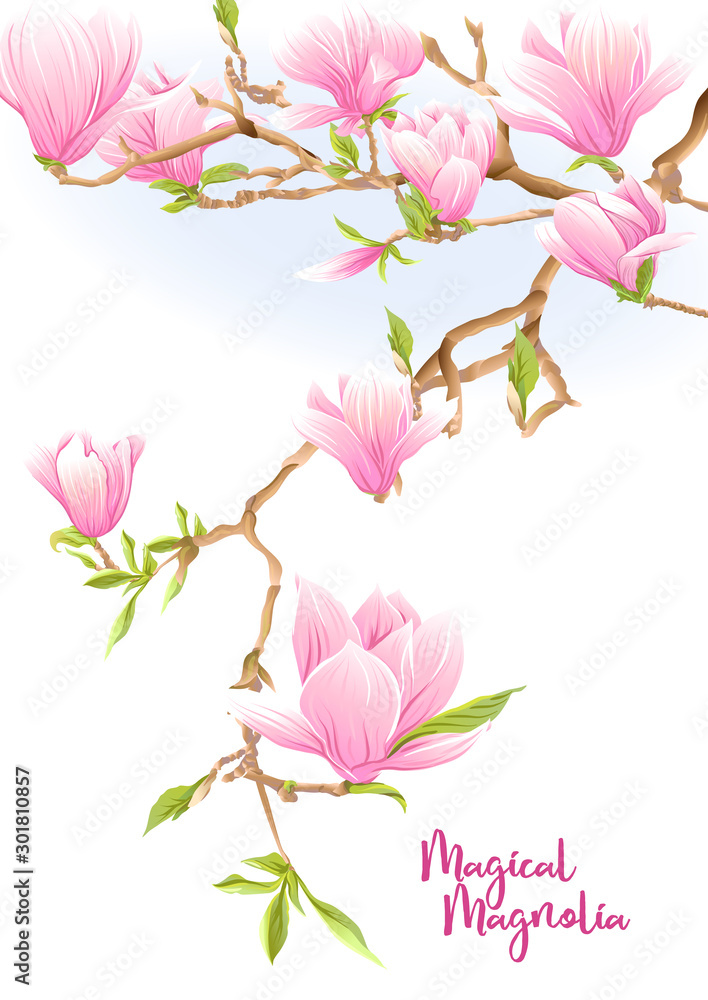 Magnolia tree branch with flowers. Template for wedding invitation ...
