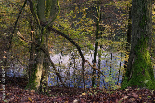 Ein Blick auf den Dillsgraben bei Bockenem von oben