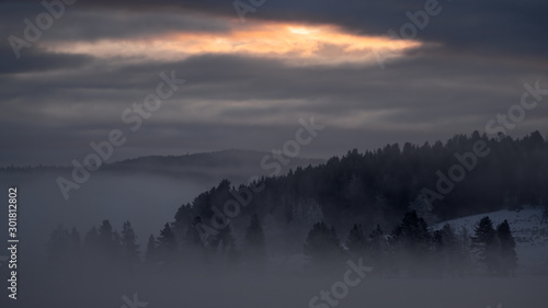 Misty Morning in Hayden Valley