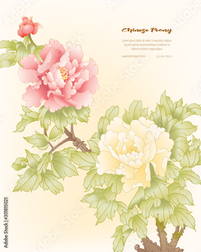 Peony tree branch with flowers in the style of Chinese painting on silk Template for wedding invitation, greeting card, banner, gift voucher, label. Colored vector illustration..