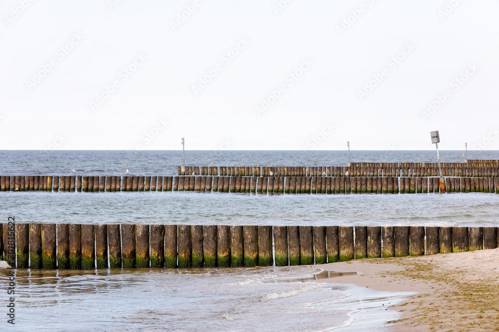 Rows of thick wooden poles in seashore