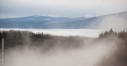 Fog in the Wilderness © Stefan
