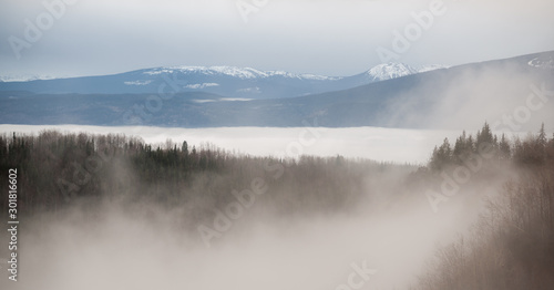 Fog in the Wilderness