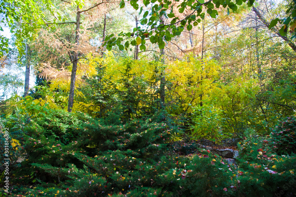 Sunny autumn day in the city park