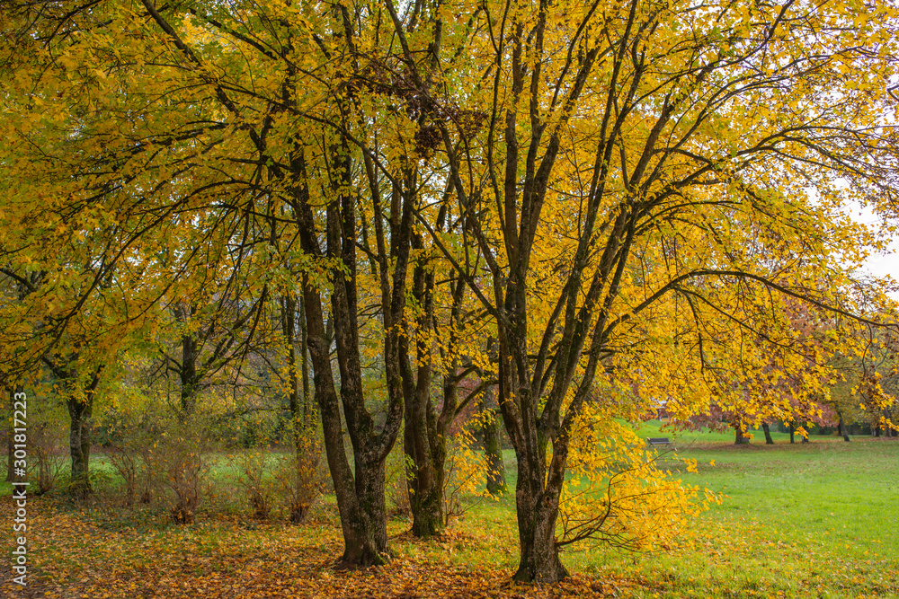 Herbst