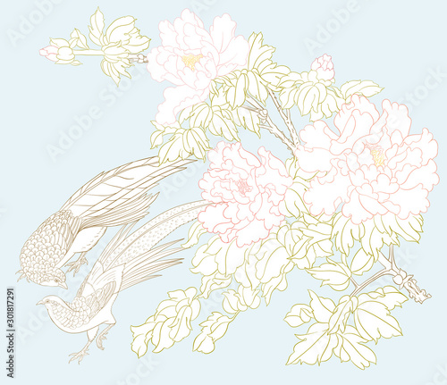Peony tree branch with flowers with pheasants in the style of Chinese painting on silk Set of elements for design Colored vector illustration. Outline hand drawing vector illustration..