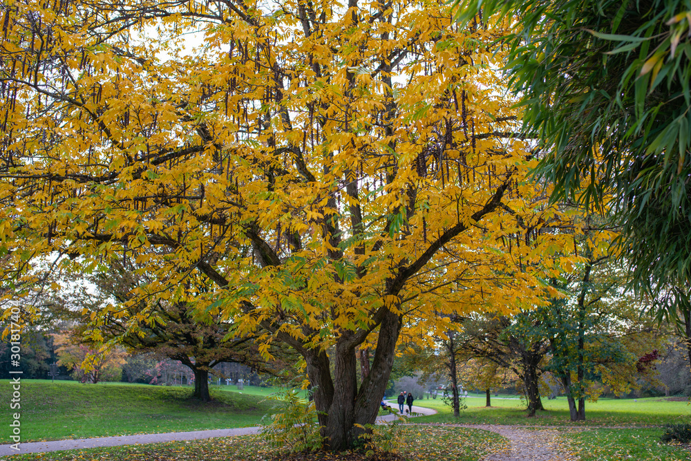 Herbst