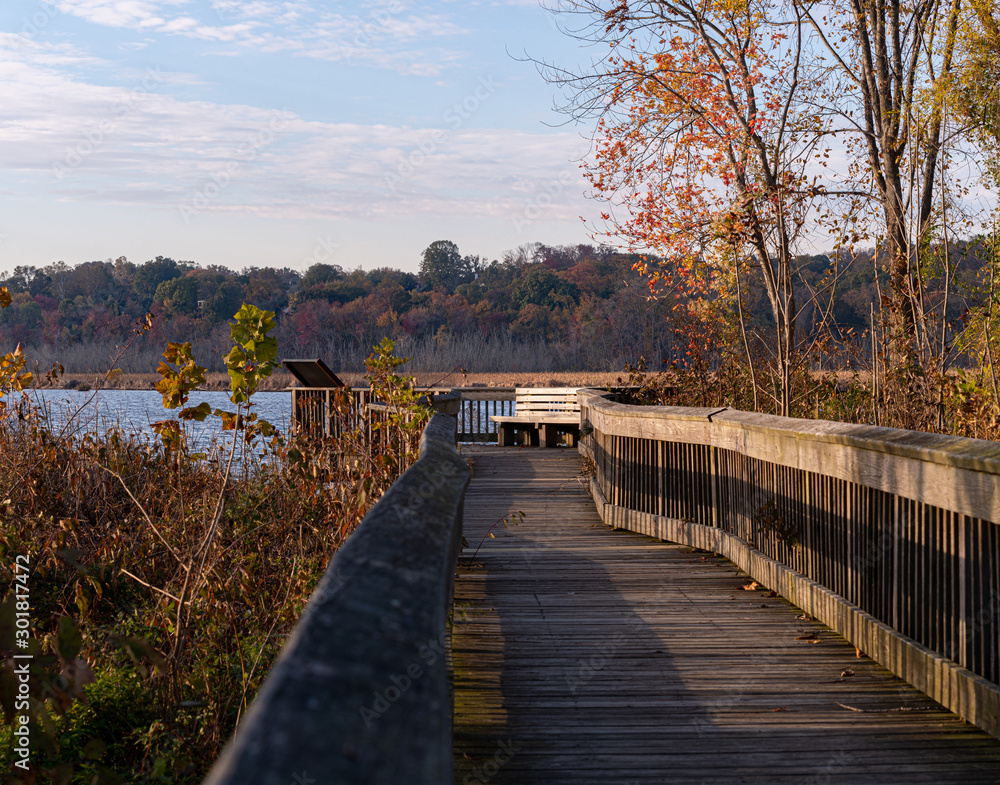 Boardwalk with Bench Over a River on an Autumn Morning Boardwalk with Bench Over a River on an Autumn Morning
